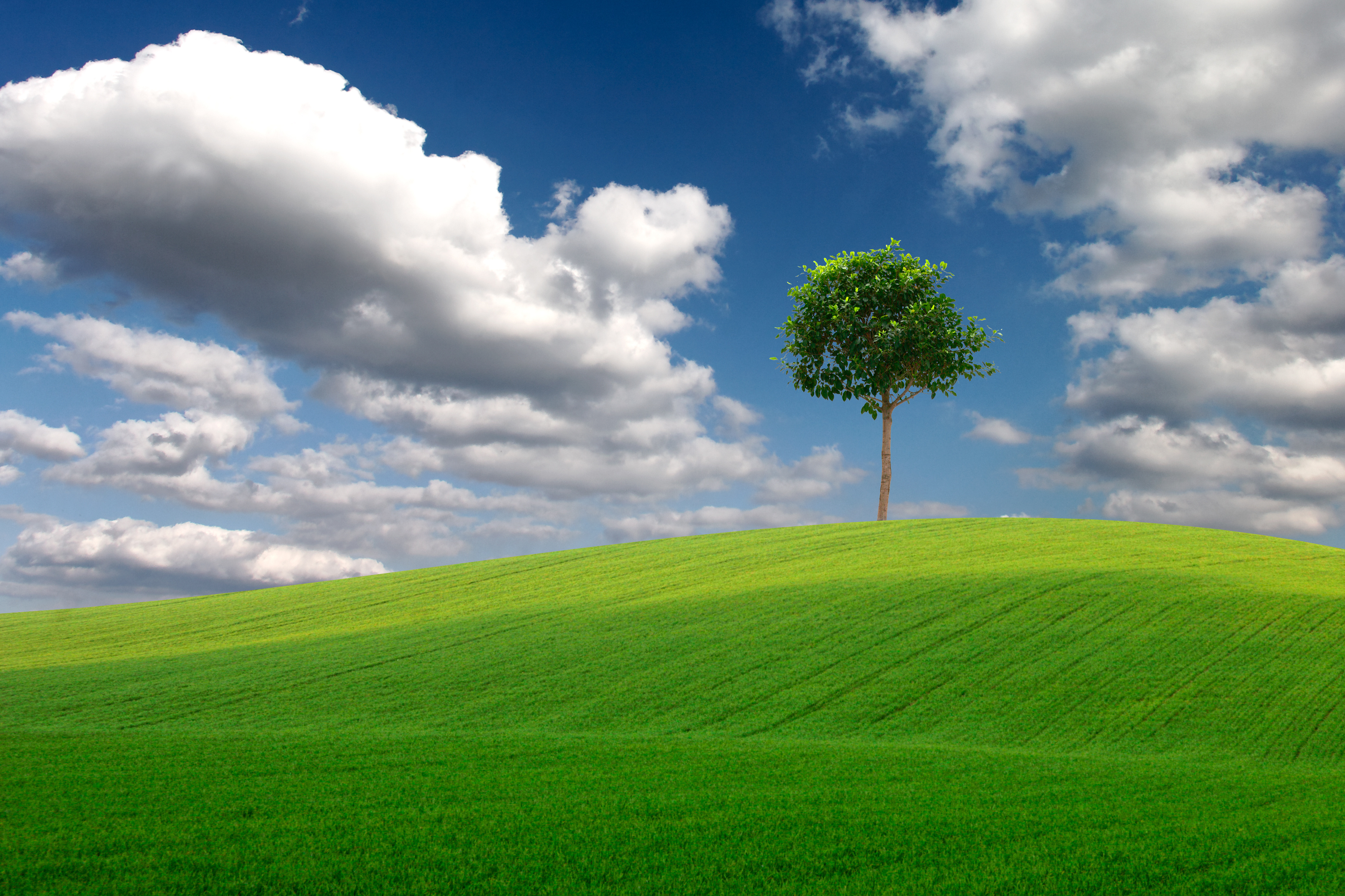 secret place of God depicted by landscape